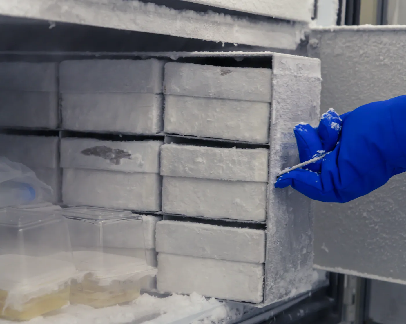 Mão com luva azul retirando caixa de produto congelado de freezer