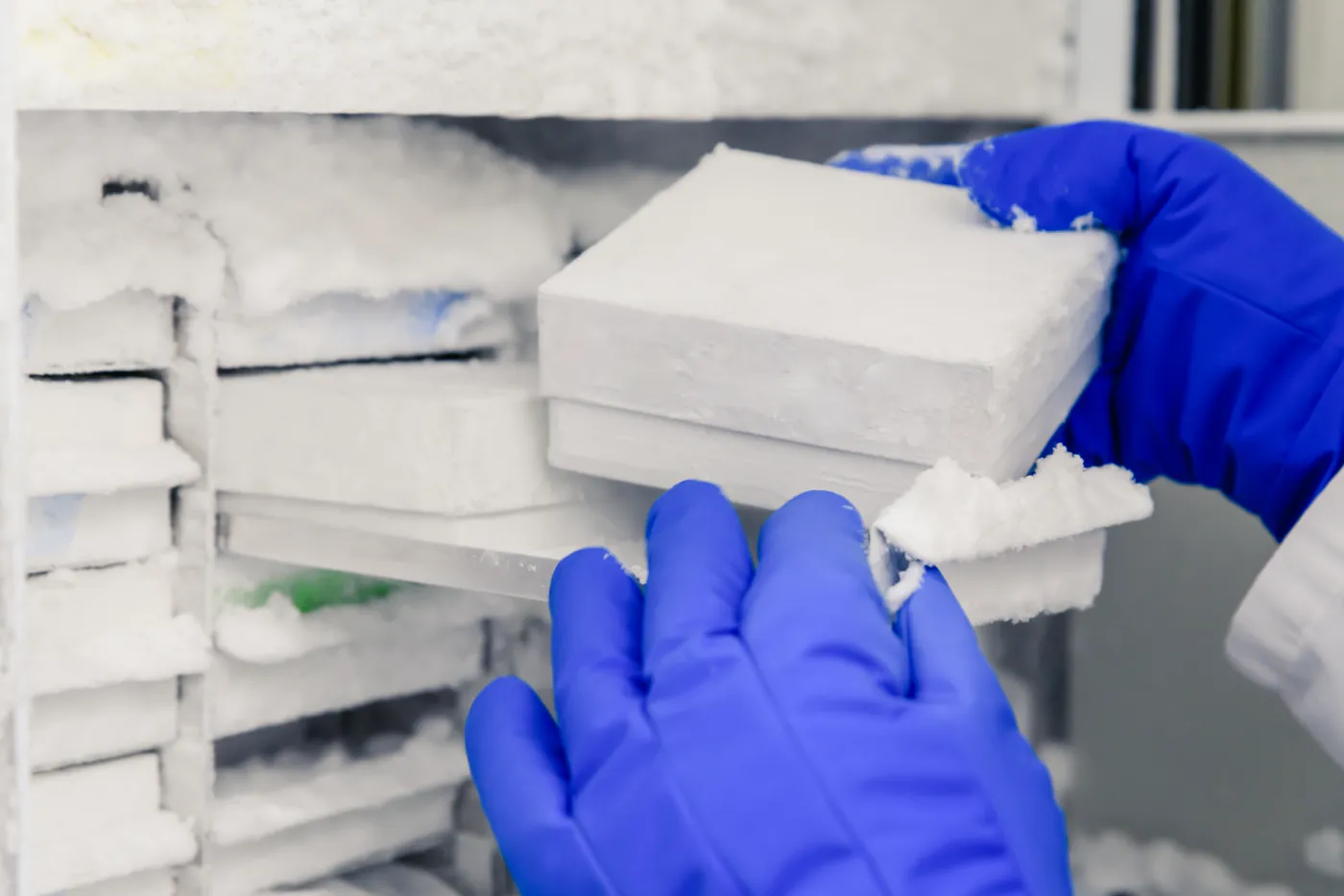 Caixas de produto congelado com gelo sendo retiradas de câmara de congelamento